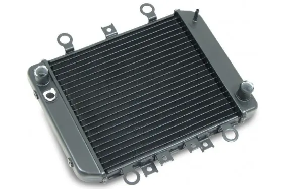 Satisfait Ou Remboursé Radiateur d‘Eau pour Kawasaki ER-5 (96-07)