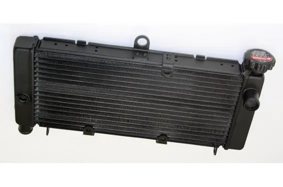 Radiateur d‘Eau pour Honda 600 HORNET (98-06) Acheter Direct