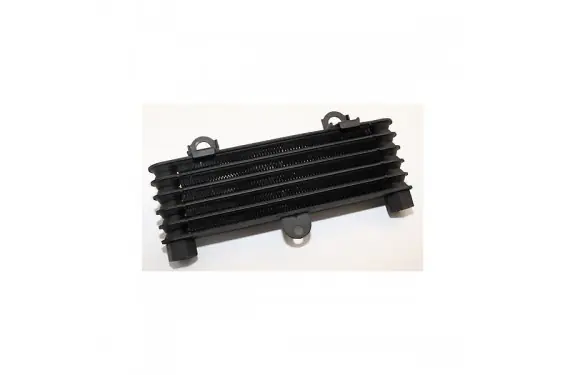 Radiateur d‘huile pour Suzuki TL1000 S (97-02) Petit Prix