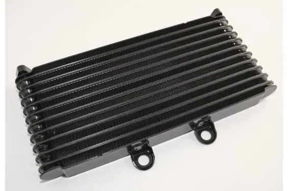 Radiateur d‘huile pour Suzuki 1200 Bandit (01-05) Expédition Rapide