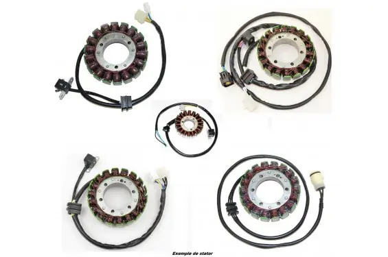Stator d‘allumage Quad Electrosport pour Yamaha YFM 350 Warrior (02-04) Offre Du Jour