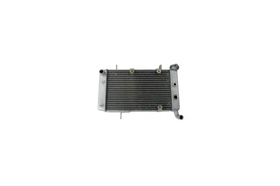 Bon Marché Radiateur D‘eau KSX pour Quad Suzuki LT-Z 400 (04-06)