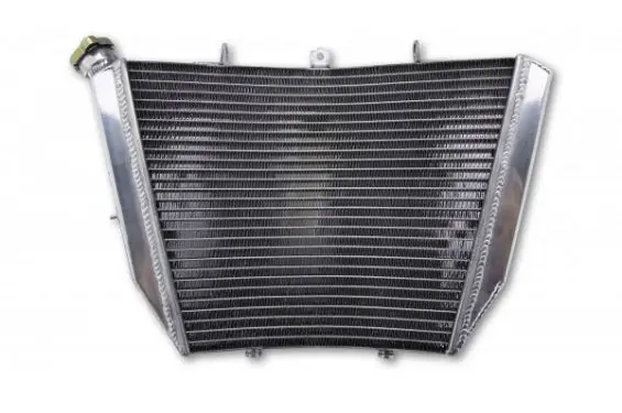 Promotion Saisonnière Radiateur d‘Eau pour GSX-R 1000 (09-16)