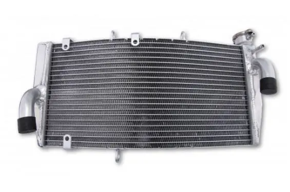 Achat Immédiat Radiateur d‘Eau pour CBR 900 RR Fireblade (02-03)