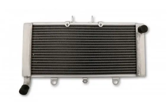 Radiateur d‘Eau pour Honda CB 1300 F (03-12) Livraison Express