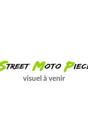 Pignon de Sortie de Boîte FE 525 pour Yamaha YZF-R6 (06-21) Certifié