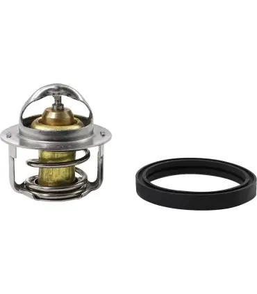 Solde THERMOSTAT POLARIS