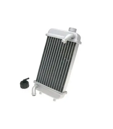 Bon Plan COOLER W/RADIATOR CAP