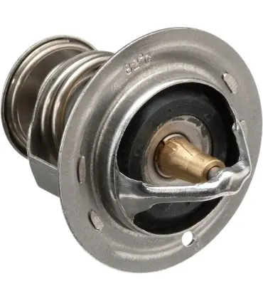 Remise Thermostat RZR 900/1000