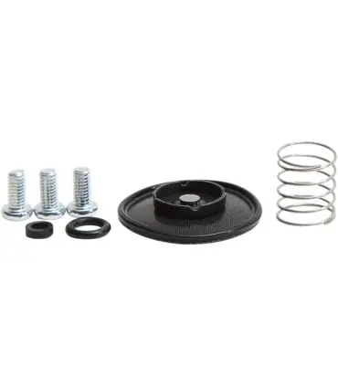 Reconditionnement de la pompe d‘accélération kit 463002 - 10031286 Livraison Express