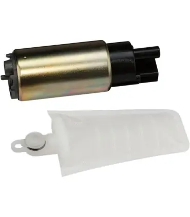 Acheter En Ligne Pompe à carburant EFI avec filtre - 1003096PU