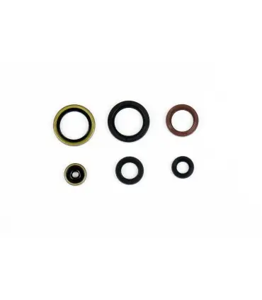 Produit De Marque Pochette de joints spi moteur SX11925-1916 - 9346196