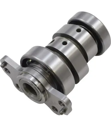 CAM RAPTOR 700 STG 3 Bon Plan