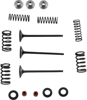 Promotion Saisonnière KIT DE SOUPAPE POUR MSE YZ250F