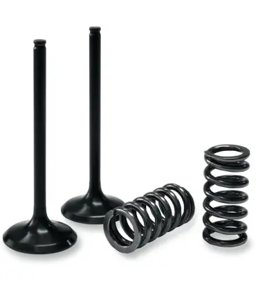 Promotion KIT DE SOUPAPE D‘ÉCHAPPEMENT/RESSORT