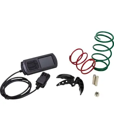 Remise KIT STAGE 2 POL RS1 18-21