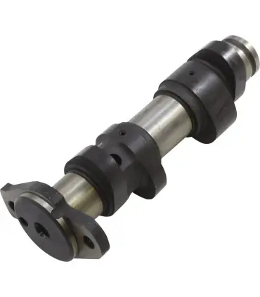 Promotion Saisonnière CAM GRIZZLY MDBSTR 4034-1