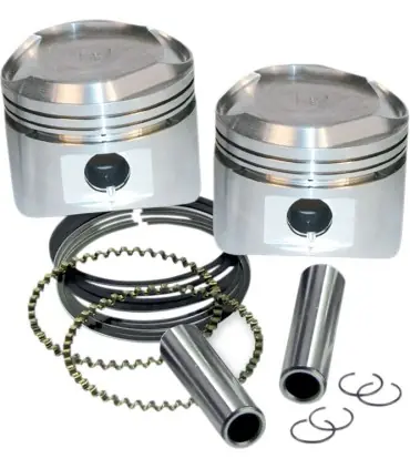 +.020REPL.PISTONS W/RINGS Expédition Rapide