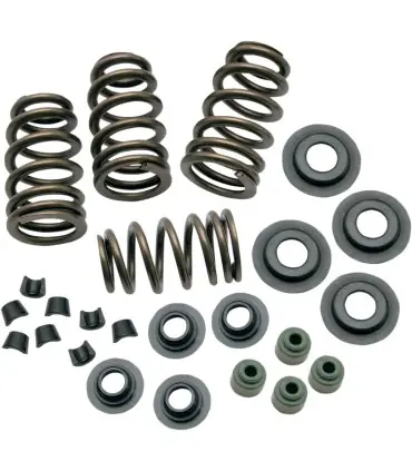SPRINGS VLV .650 05-17TC Dernière Chance