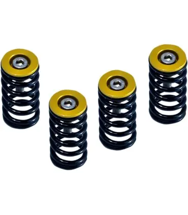 Offre Du Jour RESSORT D‘EMBRAYAGE AVEC OR DUCATI