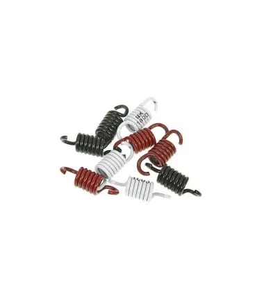 Nouvelle Collection CLUTCH SPRING KIT SPORT